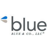 Blue blue & co, llc logo.